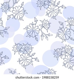 Seamless pattern with chicory flowers. Healing herbs for design Natural cosmetics, aromatherapy, medicine, health products and homeopathy.