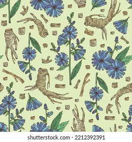 Seamless pattern with chicory: chicory plant, leaves,  flowers and chicory root. Cichorium intybus. Vector hand drawn illustration.