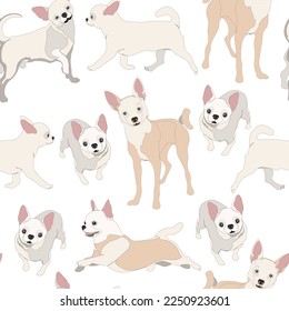 Seamless pattern with Chihuahua dogs. Vector illustration.