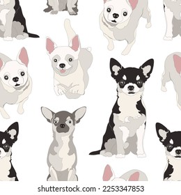 Seamless pattern with chihuahua dogs. Vector illustration.