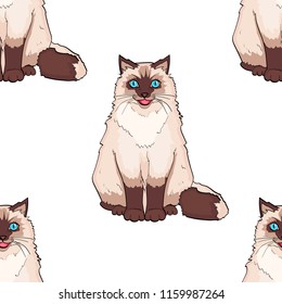 seamless pattern for children cartoon on white background. Pet. Siamese cat or Siberian color Neva Masquerade. Vector illustration.