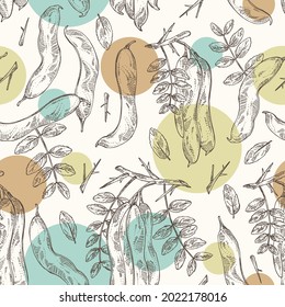 Patrón sin foco con gleditsia china: planta, hojas y vaina de gleditsia china. Gleditsia sinensis. Planta cosmética y médica. Ilustración dibujada a mano por el vector