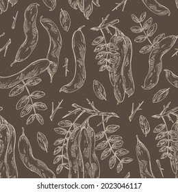 Seamless pattern with chinese gleditsia: plant, leaves, and chinese gleditsia pod. Gleditsia sinensis. Cosmetic and medical plant. Vector hand drawn illustration