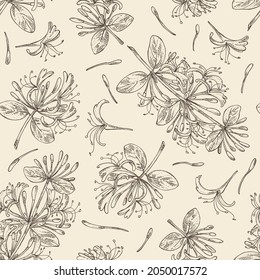 Seamless pattern with chinese honeysuckle: plant, leaves and chinese honeysuckle flowers. Lonicera pileata. Cosmetic, perfumery and medical plant. Vector hand drawn illustration