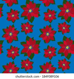 seamless pattern, christmas background, poissantia flower in bright colors, ornament for wallpaper and fabric