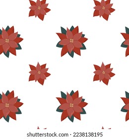 Seamless pattern of Christmas poinsettia on white background