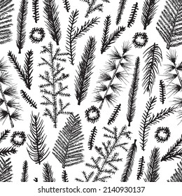 Seamless pattern Christmas tree hand drawn fir pine vector on green background Vector illustration