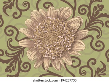 Seamless pattern with chrysanthemum
