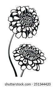 Seamless pattern with  chrysanthemum flowers in black and white on white background. Flower pattern for wedding invitation, greeting cards, gift warp.