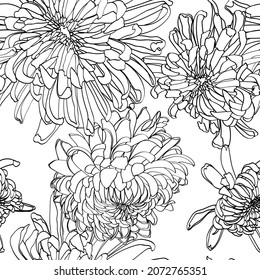 Seamless pattern with a Chrysanthemum Flowers natural ornament. Vintage Japanese Flowers floral seamless pattern white background. Exotic flowers wallpaper.