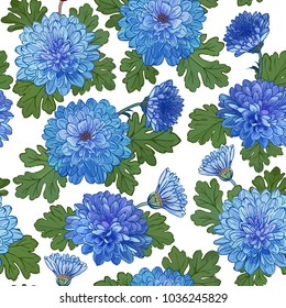 Seamless pattern with chrysanthemum flowers. Vector illustration