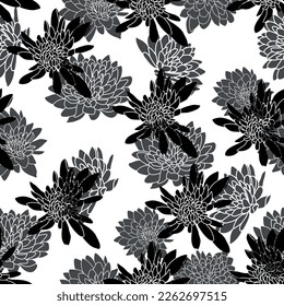 Nahtloses Muster mit Chrysanthemen. Schwarze Blumen, Hintergrund, Vektorgrafik. Chrysanthemum Vektor. Muster mit schwarzen Blumen.