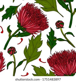 patrón impecable con crisantemos. Fondo floral con flores rojas. Dibujo manual botánico.