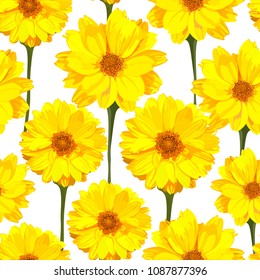 Seamless pattern with chrysanthemums flowers. Vector floral set with isolated colorful yellow plants. Golden-daisy.