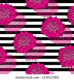 Seamless pattern with chryzantemums flowers.