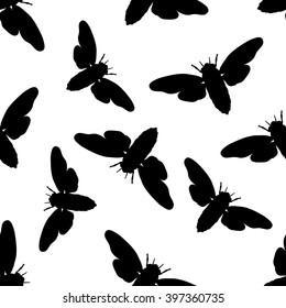Seamless pattern with cicada . Cicadidae. Chremistica umbrosa.     hand-drawn cicada . Vector illustration