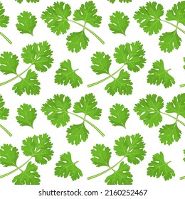 Seamless pattern with cilantro leaves. Herbs.
