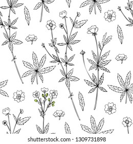 Seamless Pattern Cinquefoil Flower, Potentilla Erecta, Bloodroot Vector Hand Drawn Line Art Illustration Isolated On White Backdrop, Decorative Herbal Doodle, Medical Herb For Design Cosmetic Medicine