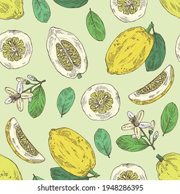 Seamless pattern with citron: fruts, citron flower, leaves and zedrate slice. Citrus medica. Vector hand drawn illustration