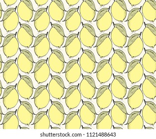 seamless pattern with citrus fruit, hand drawn elements