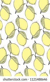 seamless pattern with citrus fruit, hand drawn elements