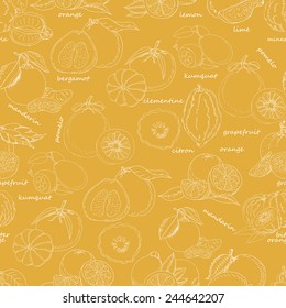 Seamless pattern with citrus fruit on an orange background. Vector illustration for your design