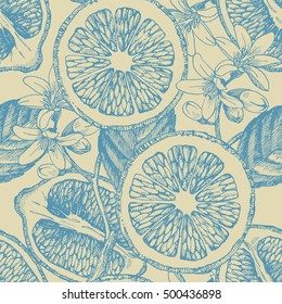 Seamless pattern with citrus fruits. Vector lemon. Hand drawn illustration.