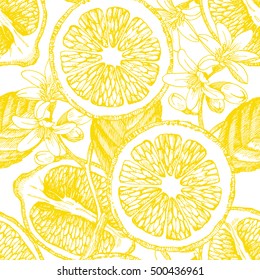 Seamless Pattern With Citrus Fruits. Vector Lemon. Hand Drawn Illustration.