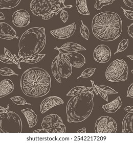 Seamless pattern with citrus fruitst:  kaffir lime, lemon, grapefruit and kumquat. Vector hand drawn illustration.