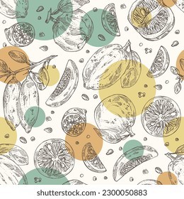 Seamless pattern with of citrus fruitst: yuzu, citron, grapefruit and bitter orange. Vector hand drawn illustration.