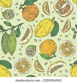 Seamless pattern with  of citrus fruitst: yuzu, citron, grapefruit and bitter orange. Vector hand drawn illustration.