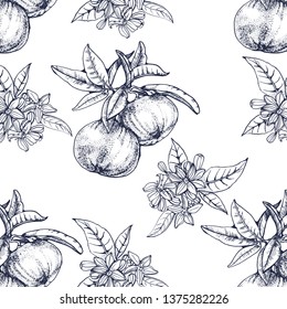 seamless pattern ,citrus ,hand drawing, vector