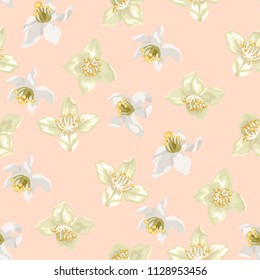 Seamless pattern with citrus and jasmine flowers in realistic graphic vector illustration