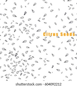 Seamless pattern with citrus seeds.