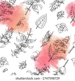 Seamless Pattern with Clary sage twigs with leaves and flowers . Detailed hand-drawn sketches, vector botanical illustration.  For textile, background, packaging design.
