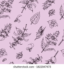 Patrón sin foco con ramas de arcilla con hojas y flores. Esbozos detallados dibujados a mano, ilustración botánica vectorial.  Para el diseño textil, de fondo, de embalaje.
