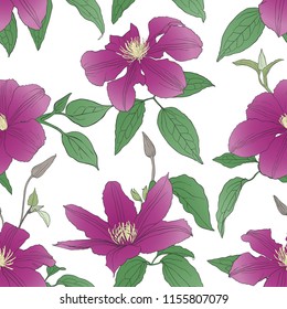 Seamless pattern with Clematis flowers isolated on white background. Design element for textile, fabric, wallpaper, scrapbooking. Vector illustration.