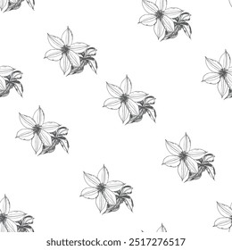 Padrão contínuo com flores clematis. Ilustração de estilo de caneta e tinta