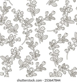 Seamless pattern with climber rose branches. Hand drawn vector illustration.