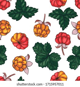 seamless pattern cloudberry hand drawn vector illustration. Sketch style drawing isolated on white background with leaf. Organic vegetarian object for menu, label, recipe, product packaging