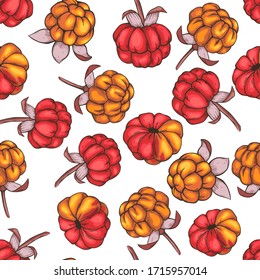 seamless pattern cloudberry hand drawn vector illustration. Sketch style drawing isolated on white background with leaf. Organic vegetarian object for menu, label, recipe, product packaging