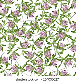 Seamless pattern with clover flowers on a white background.