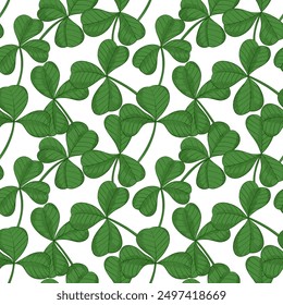 Seamless pattern with clover leaves. Hand drawn shamrock for background.