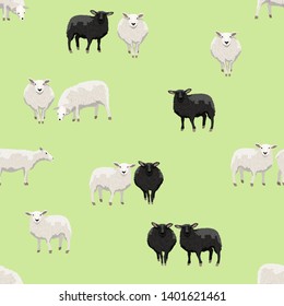 Seamless pattern. Clusters of white and black sheep on a green background. Vector for packaging, paper, prints and cards