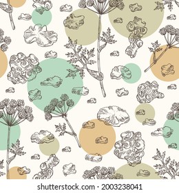 Seamless pattern with cnidium: plant and cnidium tuber. Ligusticum wallichii. Cosmetic and medical plant. Vector hand drawn illustration