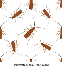 Seamless pattern with cockroach. blattella germanica   hand-drawn cockroach. Vector illustration