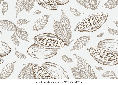 Patrón sin foco con frijoles de cacao. Fondo vectorial vintage con dibujo a mano. Textura de comida para tienda de comestibles. Estilo de arte de línea.