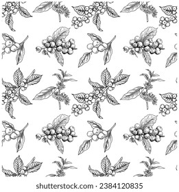 seamless pattern of coffee and bird ink drawing sketch for fabric textile, poster art print, post card, name card, packaging label, brochure, menu, wall paper, t-shirt, collection,