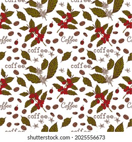 seamless pattern with coffee branches, coffee berries and flowers. vector hand-drawn illustration.