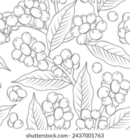 seamless pattern with coffee plant engraving style